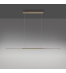 Paul Neuhaus Pure Surfa Lampa Wisząca Brązowy 2302-97