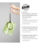 Paul Neuhaus Zula Lampa Wisząca Brązowy/Zielony 2541-43