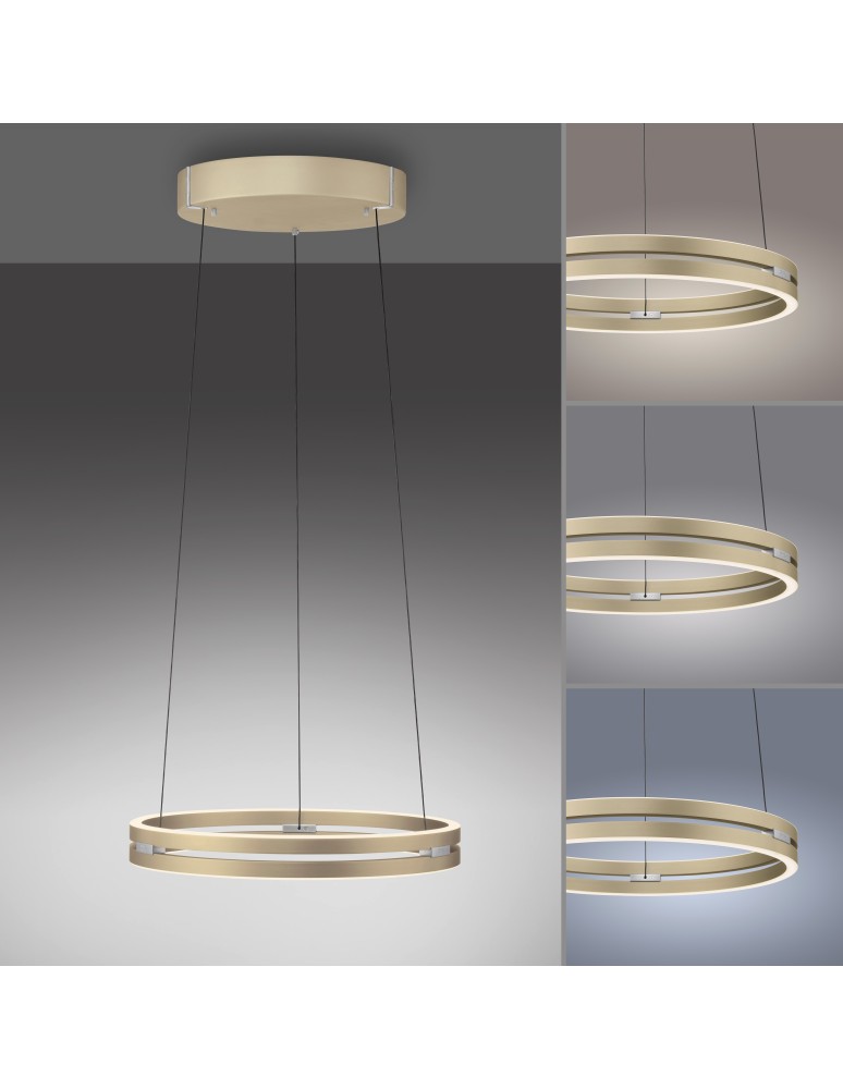 Paul Neuhaus Pure E-Loop Lampa Wisząca Matowy Mosiądz 2550-60