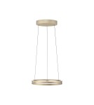 Paul Neuhaus Pure E-Loop Lampa Wisząca Matowy Mosiądz 2550-60