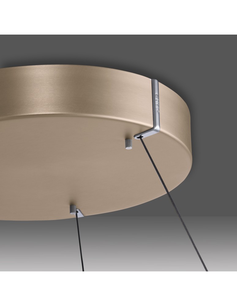 Paul Neuhaus Pure E-Loop Lampa Wisząca Matowy Mosiądz 2550-60