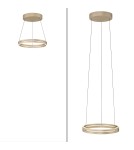 Paul Neuhaus Pure E-Loop Lampa Wisząca Matowy Mosiądz 2550-60