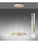 Paul Neuhaus Pure E-Loop Lampa Wisząca Matowy Mosiądz 2550-60