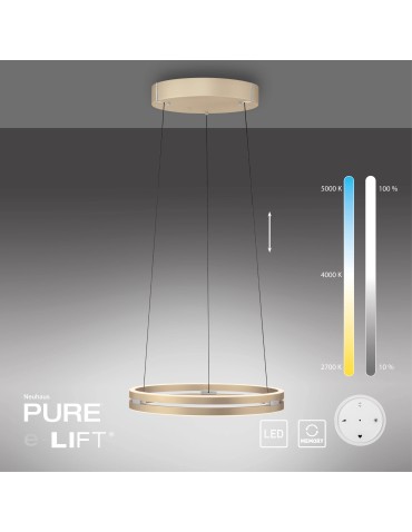Paul Neuhaus Pure E-Loop Lampa Wisząca Matowy Mosiądz 2550-60 - product 2