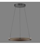 Paul Neuhaus Pure E-Loop Lampa Wisząca Czarny 2551-18