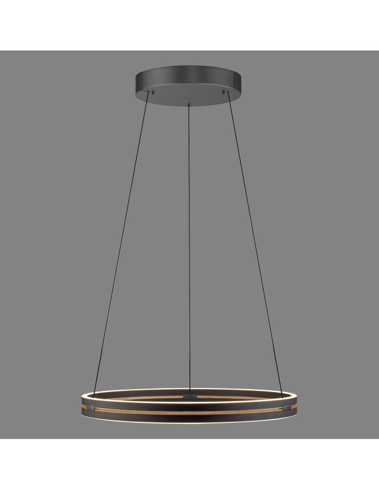 Paul Neuhaus Pure E-Loop Lampa Wisząca Czarny 2551-18