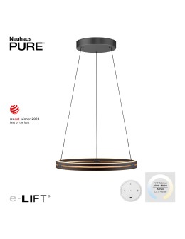Paul Neuhaus Pure E-Loop Lampa Wisząca Czarny 2551-18