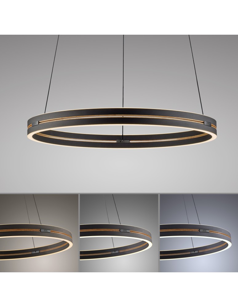 Paul Neuhaus Pure E-Loop Lampa Wisząca Czarny 2551-18