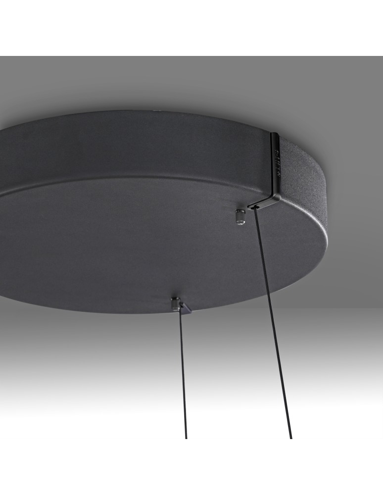 Paul Neuhaus Pure E-Loop Lampa Wisząca Czarny 2551-18