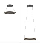 Paul Neuhaus Pure E-Loop Lampa Wisząca Czarny 2551-18