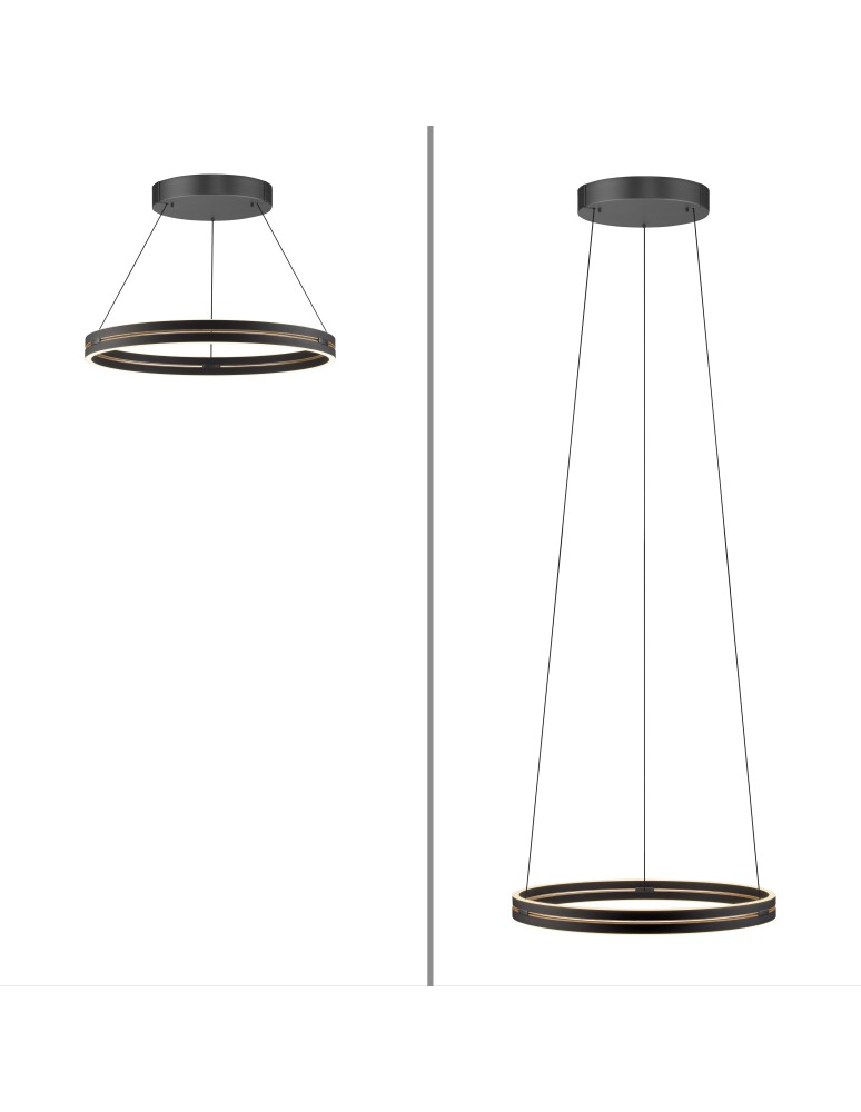 Paul Neuhaus Pure E-Loop Lampa Wisząca Czarny 2551-18