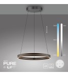 Paul Neuhaus Pure E-Loop Lampa Wisząca Czarny 2551-18