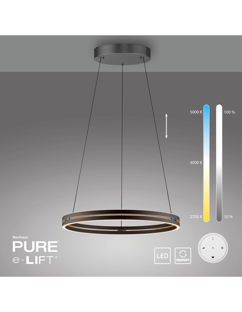Paul Neuhaus Pure E-Loop Lampa Wisząca Czarny 2551-18