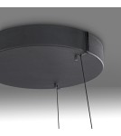 Paul Neuhaus Pure E-Loop Lampa Wisząca Czarny 2551-18