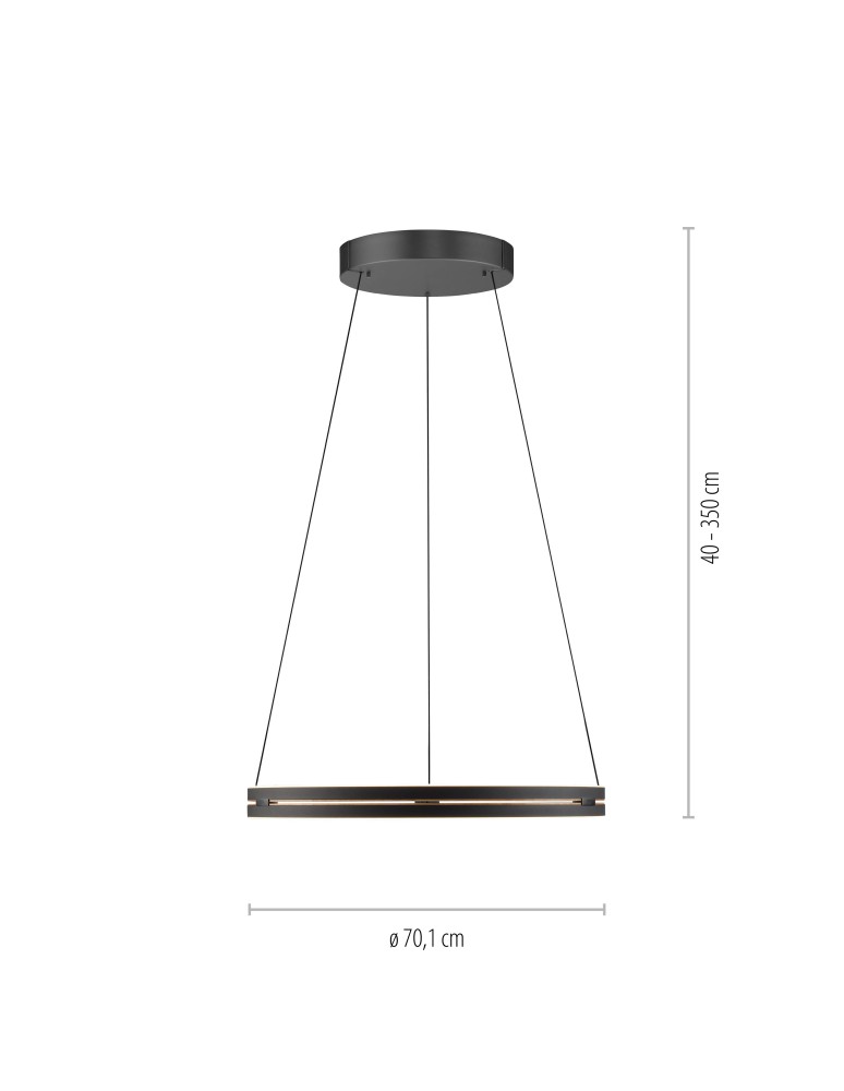 Paul Neuhaus Pure E-Loop Lampa Wisząca Czarny 2551-18