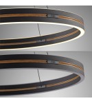 Paul Neuhaus Pure E-Loop Lampa Wisząca Czarny 2551-18