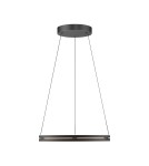 Paul Neuhaus Pure E-Loop Lampa Wisząca Czarny 2551-18