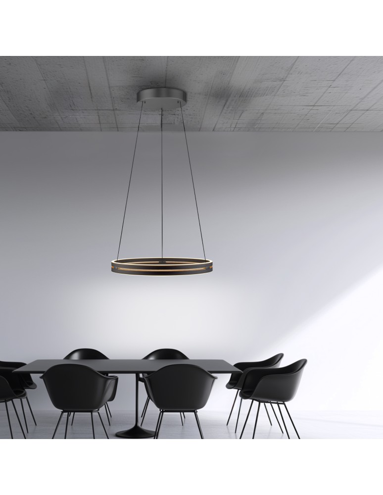 Paul Neuhaus Pure E-Loop Lampa Wisząca Czarny 2551-18