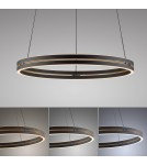 Paul Neuhaus Pure E-Loop Lampa Wisząca Czarny 2551-18
