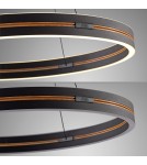 Paul Neuhaus Pure E-Loop Lampa Wisząca Czarny 2551-18