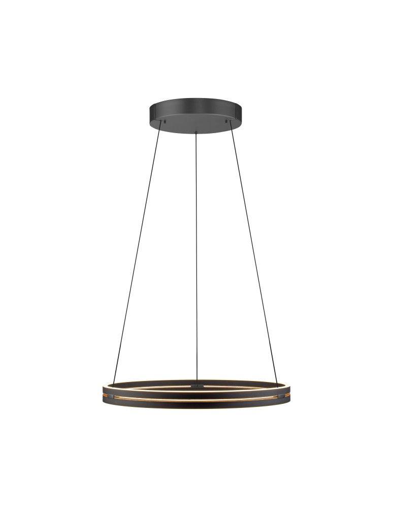 Paul Neuhaus Pure E-Loop Lampa Wisząca Czarny 2551-18