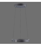 Paul Neuhaus Pure E-Clipse Lampa Wisząca Szary 2560-15