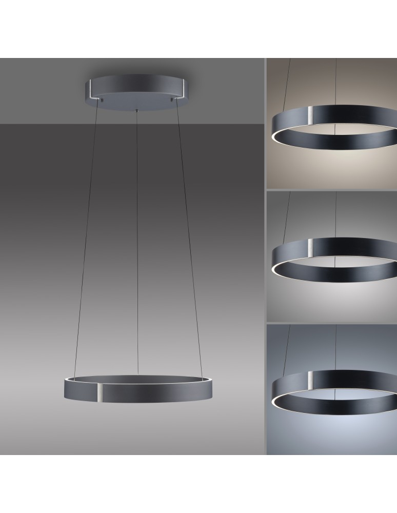 Paul Neuhaus Pure E-Clipse Lampa Wisząca Szary 2560-15