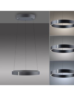 Paul Neuhaus Pure E-Clipse Lampa Wisząca Szary 2560-15 - product 2