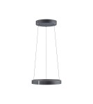 Paul Neuhaus Pure E-Clipse Lampa Wisząca Szary 2560-15