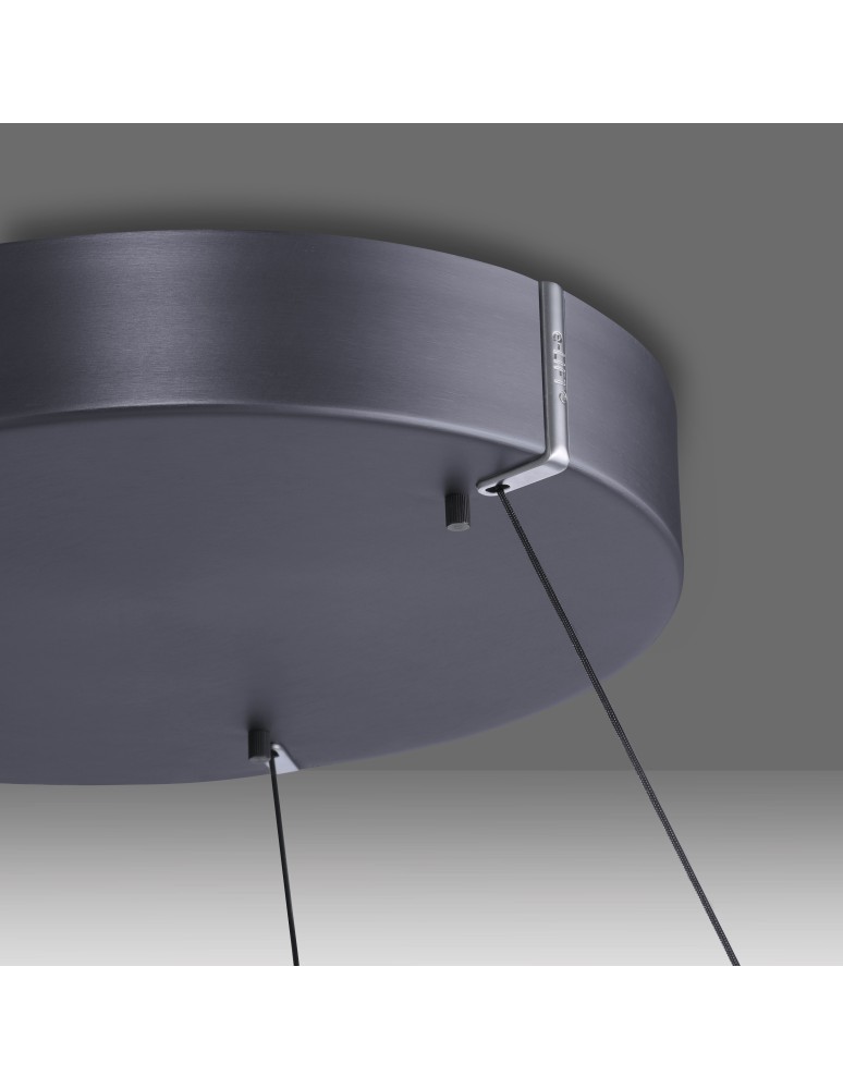 Paul Neuhaus Pure E-Clipse Lampa Wisząca Szary 2560-15