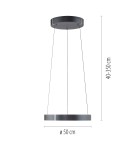 Paul Neuhaus Pure E-Clipse Lampa Wisząca Szary 2560-15