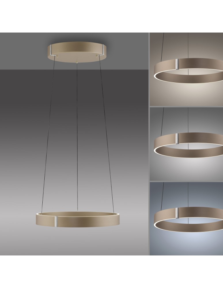 Paul Neuhaus Pure E-Clipse Lampa Wisząca Brązowy 2560-97
