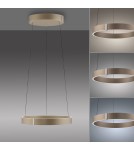 Paul Neuhaus Pure E-Clipse Lampa Wisząca Brązowy 2560-97