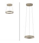 Paul Neuhaus Pure E-Clipse Lampa Wisząca Brązowy 2560-97