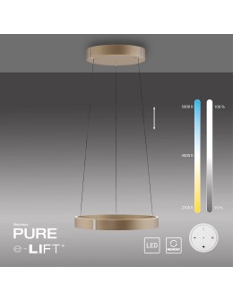 Paul Neuhaus Pure E-Clipse Lampa Wisząca Brązowy 2560-97 - product 2