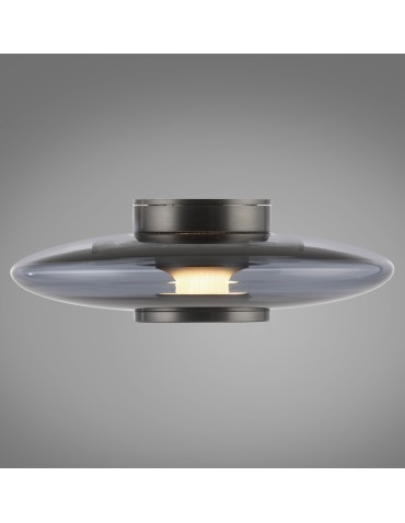 Paul Neuhaus Pure Vitrum Kinkiet/Lampa Sufitowa Szary 6082-15 - product 2