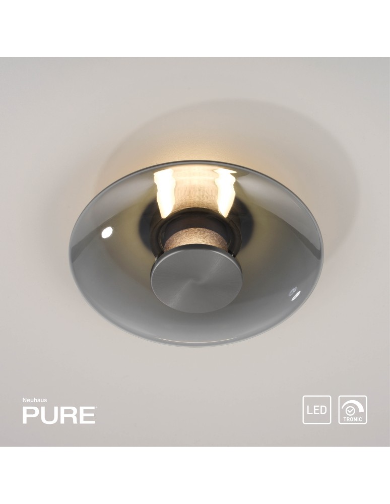 Paul Neuhaus Pure Vitrum Kinkiet/Lampa Sufitowa Szary 6082-15