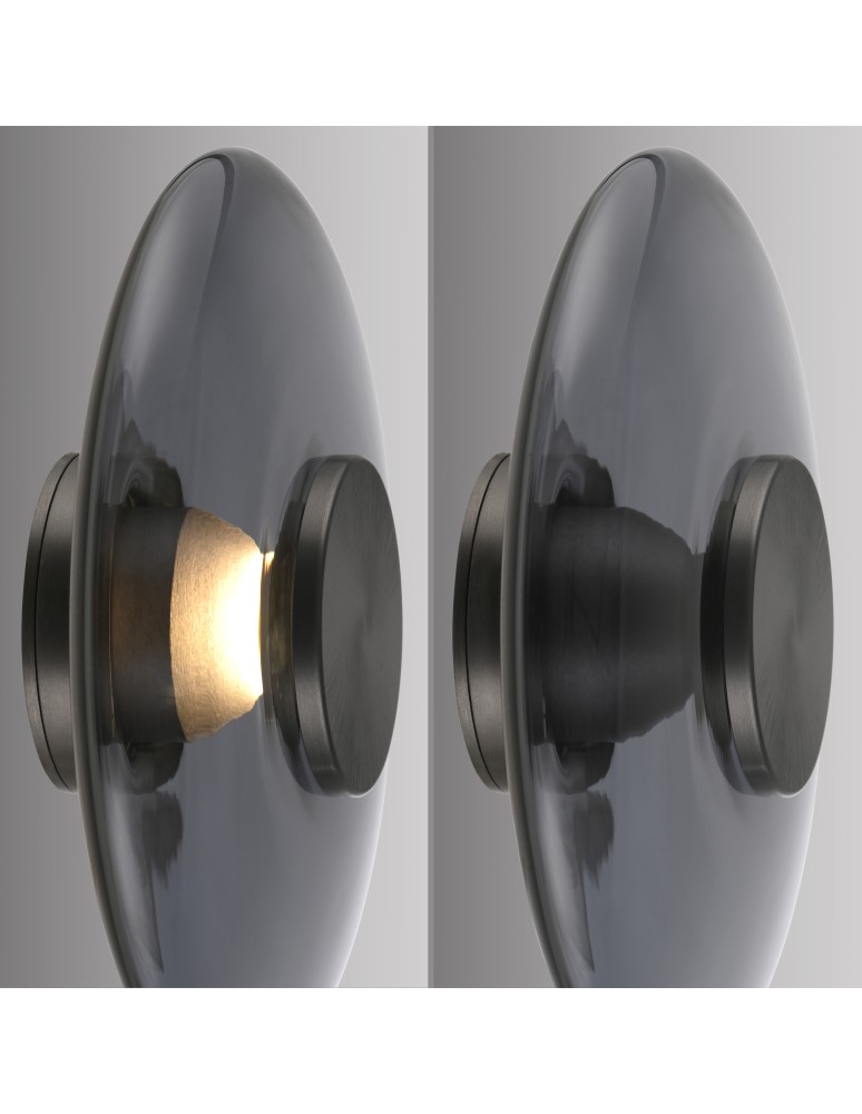 Paul Neuhaus Pure Vitrum Kinkiet/Lampa Sufitowa Szary 6082-15