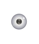 Paul Neuhaus Pure Vitrum Kinkiet/Lampa Sufitowa Szary 6082-15