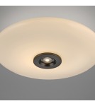 Paul Neuhaus Pure Vitrum Lampa Sufitowa Ciemnometalowo-Brązowy 6083-34