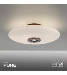 Paul Neuhaus Pure Vitrum Lampa Sufitowa Ciemnometalowo-Brązowy 6083-34