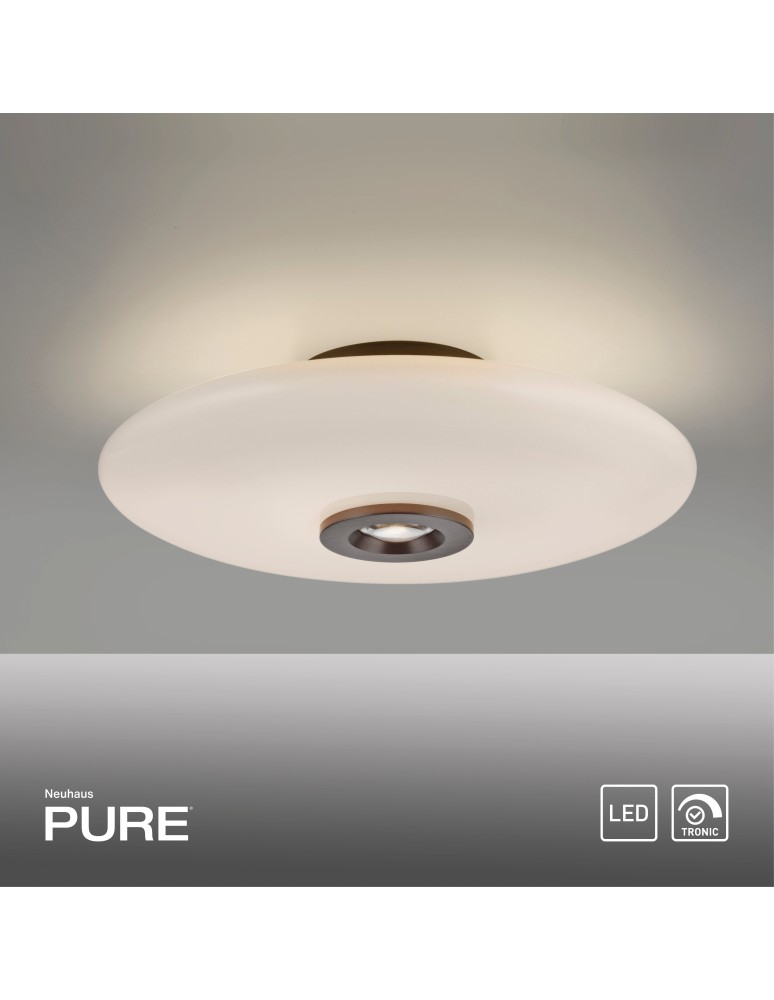 Paul Neuhaus Pure Vitrum Lampa Sufitowa Ciemnometalowo-Brązowy 6083-34