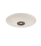 Paul Neuhaus Pure Vitrum Lampa Sufitowa Ciemnometalowo-Brązowy 6083-34