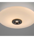 Paul Neuhaus Pure Vitrum Lampa Sufitowa Ciemnometalowo-Brązowy 6083-34