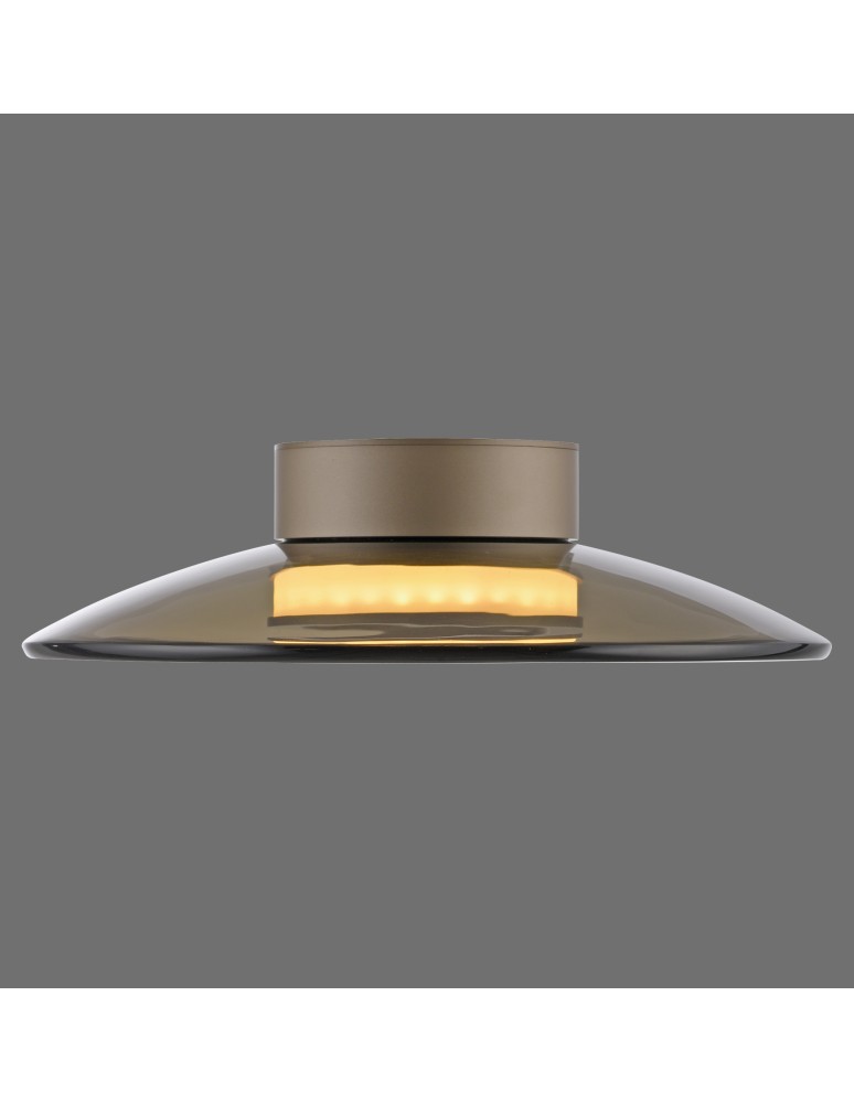 Paul Neuhaus Pure Moon Lampa Sufitowa Brązowy 6094-97