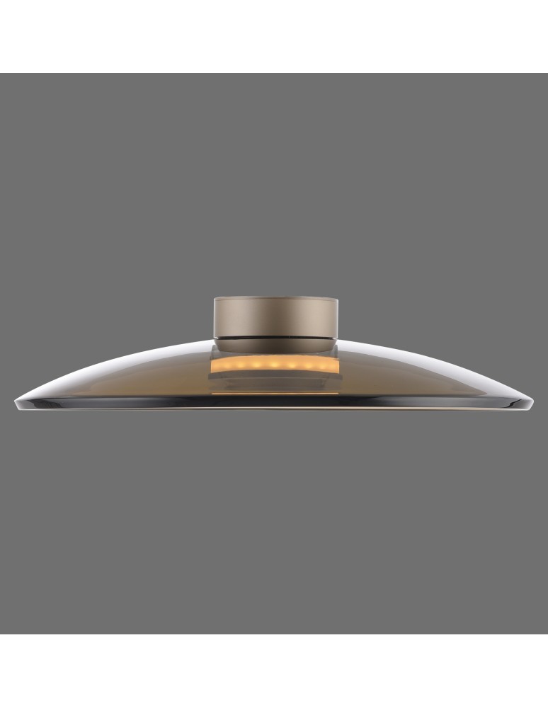 Paul Neuhaus Pure Moon Lampa Sufitowa Brązowy 6095-97