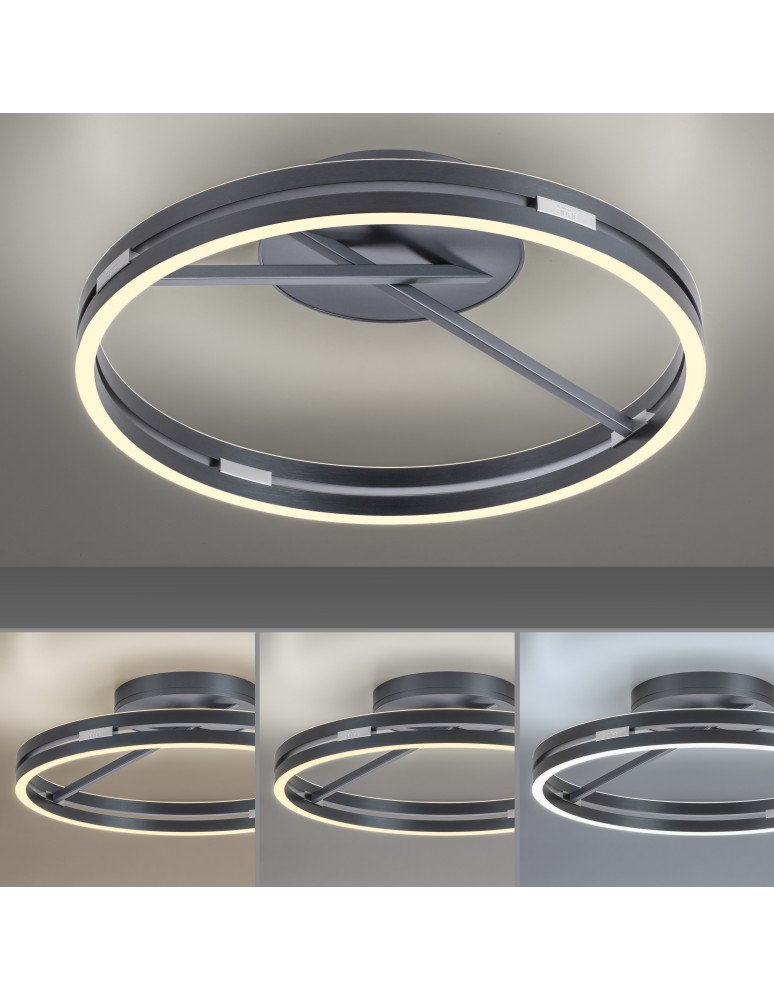 Paul Neuhaus Pure Loop Lampa Sufitowa Szary 6552-15