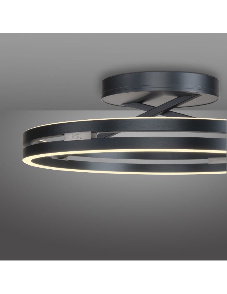 Paul Neuhaus Pure Loop Lampa Sufitowa Szary 6552-15