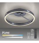Paul Neuhaus Pure Loop Lampa Sufitowa Szary 6552-15
