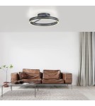 Paul Neuhaus Pure Loop Lampa Sufitowa Szary 6552-15